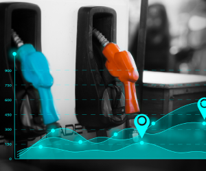 Fleet Management Solutions One-stop solution for the entire fleet ecosystem